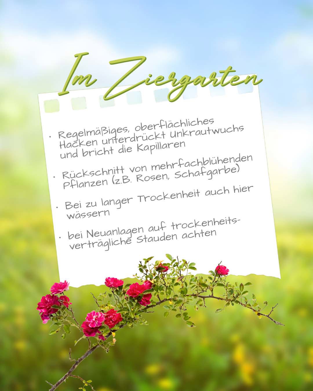 ZiergartenJuli