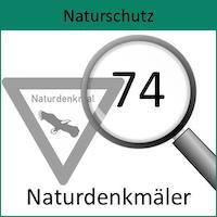 230327_Artenvielfalt_Naturdenkmale