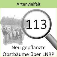 230327_Landschaftspflege_Obstbaeume