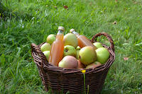 Landkreis-Saft Pilotprojekt Apfelkorb