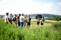 Öko-Feldtage in Ditzingen-Hirschladen 