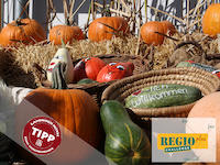 RegioPlusChallengeVorbereitung_22092023