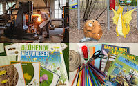 Collage_Ferientipps