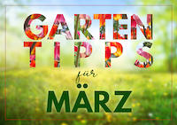 Garten_Tipps_Maerz_hp