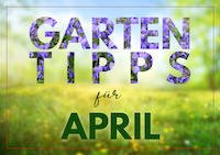 Garten_Tipps_Vorschau_News