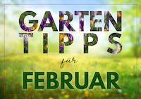Garten_Tipps_Vorschau_News_Feb