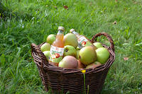 Landkreissaft_2025