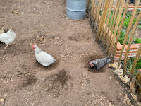 Naturgarten_Zertifizierer_4