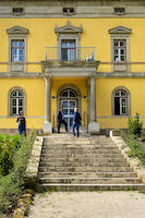 TreppeVeterinaeramt-3