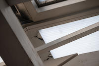 Tierheim - Schaden 1