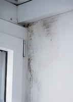 Tierheim - Schaden 2