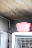 Tierheim - Schaden 3