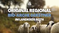 Youtube Bioarche Gerstner