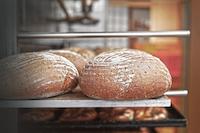 Brot