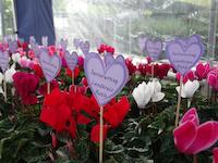 DSC03757.JPG
